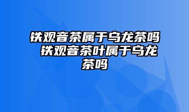 铁观音茶属于乌龙茶吗 铁观音茶叶属于乌龙茶吗