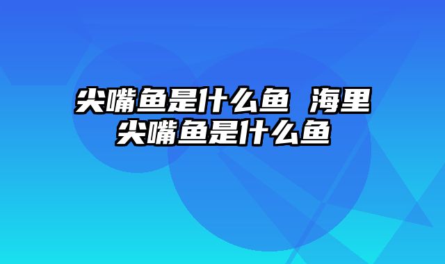 尖嘴鱼是什么鱼 海里尖嘴鱼是什么鱼