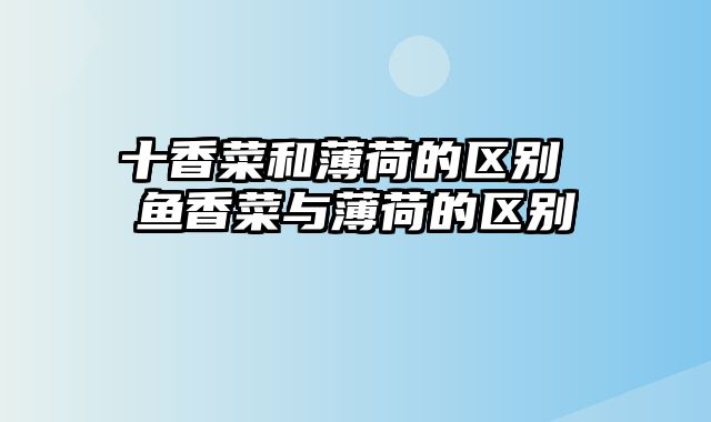 十香菜和薄荷的区别 鱼香菜与薄荷的区别