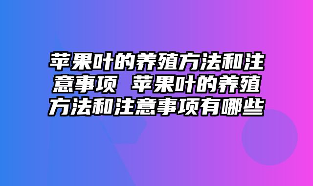 苹果叶的养殖方法和注意事项 苹果叶的养殖方法和注意事项有哪些