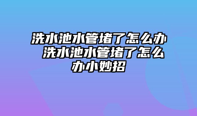 洗水池水管堵了怎么办 洗水池水管堵了怎么办小妙招