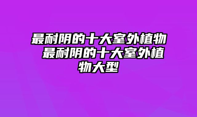 最耐阴的十大室外植物 最耐阴的十大室外植物大型