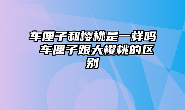 车厘子和樱桃是一样吗 车厘子跟大樱桃的区别