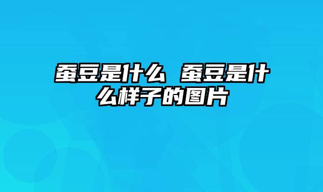 蚕豆是什么 蚕豆是什么样子的图片