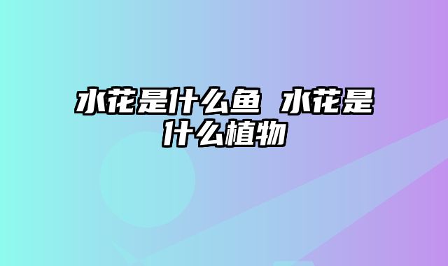 水花是什么鱼 水花是什么植物