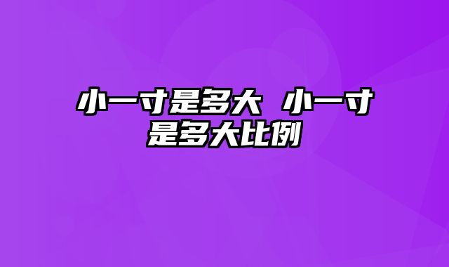 小一寸是多大 小一寸是多大比例