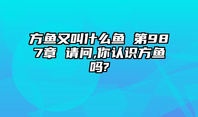 方鱼又叫什么鱼 第987章 请问,你认识方鱼吗?