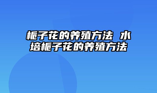 栀子花的养殖方法 水培栀子花的养殖方法