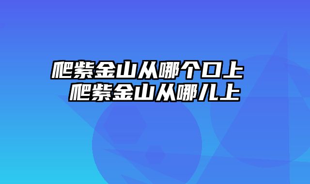 爬紫金山从哪个口上 爬紫金山从哪儿上