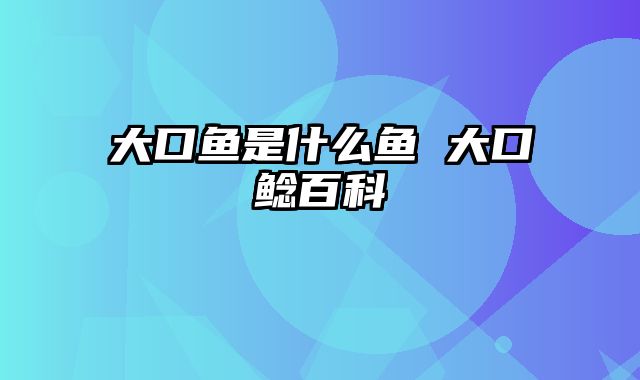大口鱼是什么鱼 大口鲶百科