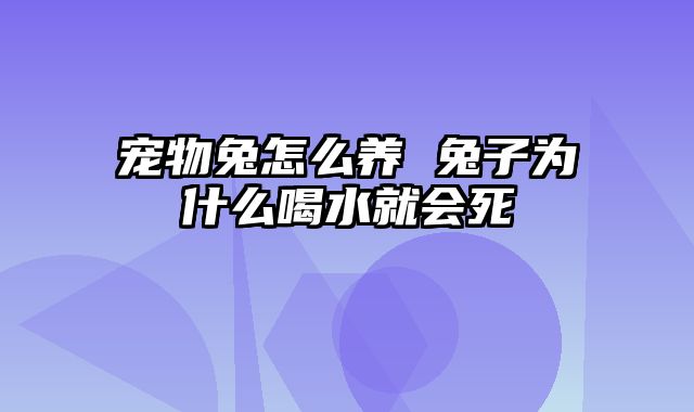 宠物兔怎么养 兔子为什么喝水就会死