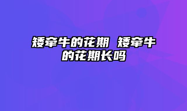 矮牵牛的花期 矮牵牛的花期长吗