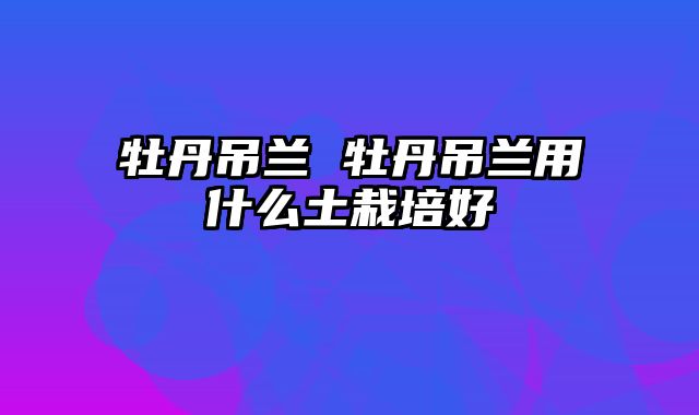 牡丹吊兰 牡丹吊兰用什么土栽培好