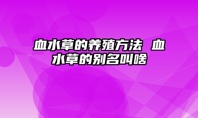 血水草的养殖方法 血水草的别名叫啥