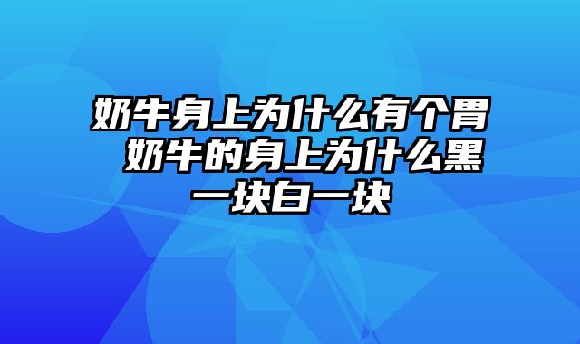 奶牛身上为什么有个胃 奶牛的身上为什么黑一块白一块