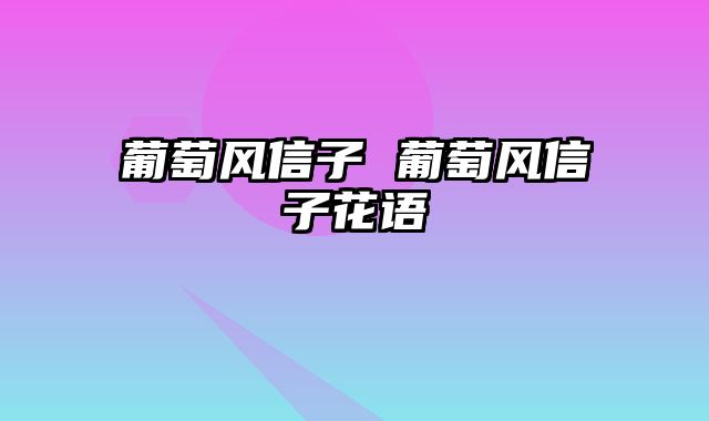 葡萄风信子 葡萄风信子花语