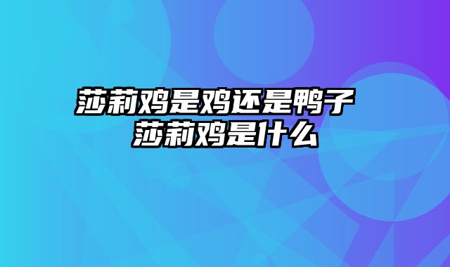 莎莉鸡是鸡还是鸭子 莎莉鸡是什么