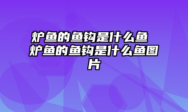 炉鱼的鱼钩是什么鱼 炉鱼的鱼钩是什么鱼图片