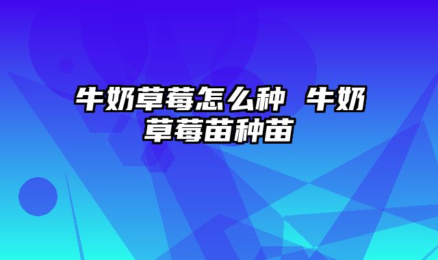 牛奶草莓怎么种 牛奶草莓苗种苗