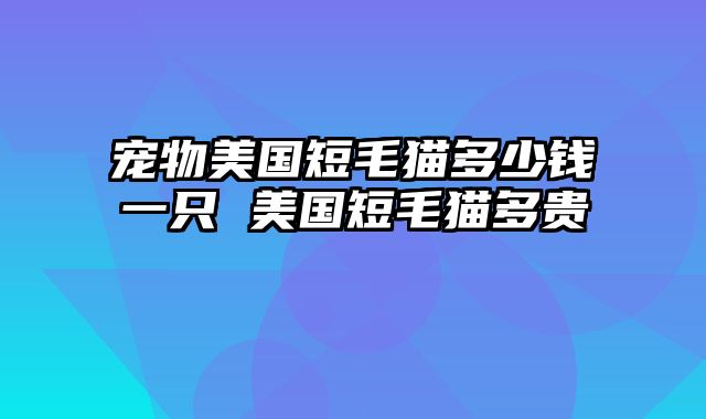 宠物美国短毛猫多少钱一只 美国短毛猫多贵