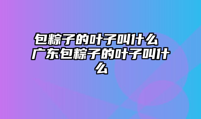 包粽子的叶子叫什么 广东包粽子的叶子叫什么