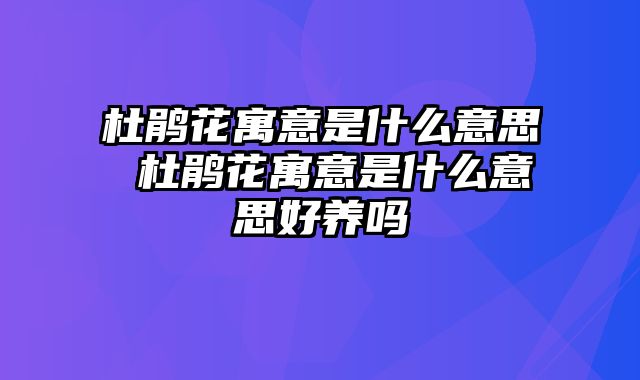 杜鹃花寓意是什么意思 杜鹃花寓意是什么意思好养吗