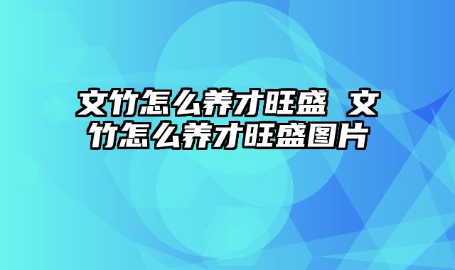 文竹怎么养才旺盛 文竹怎么养才旺盛图片