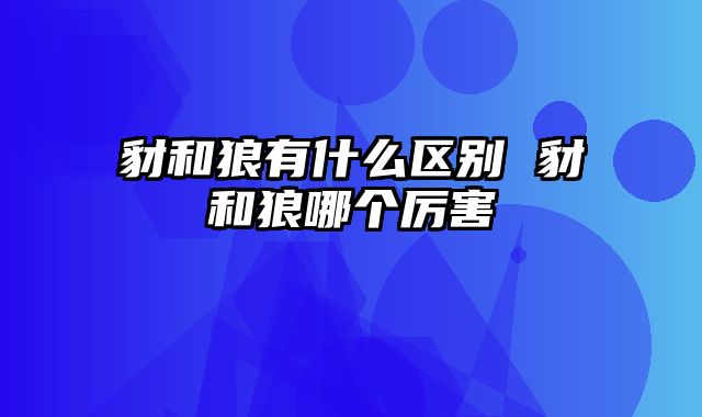 豺和狼有什么区别 豺和狼哪个厉害