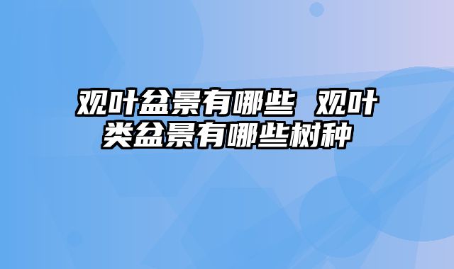 观叶盆景有哪些 观叶类盆景有哪些树种