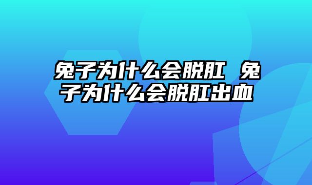 兔子为什么会脱肛 兔子为什么会脱肛出血