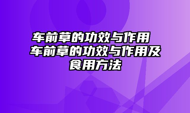 车前草的功效与作用 车前草的功效与作用及食用方法