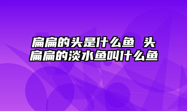 扁扁的头是什么鱼 头扁扁的淡水鱼叫什么鱼