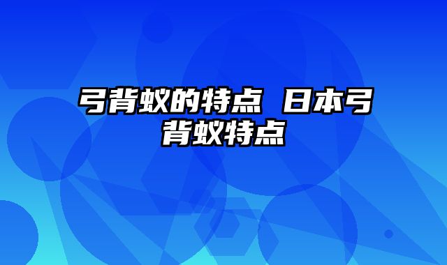 弓背蚁的特点 日本弓背蚁特点