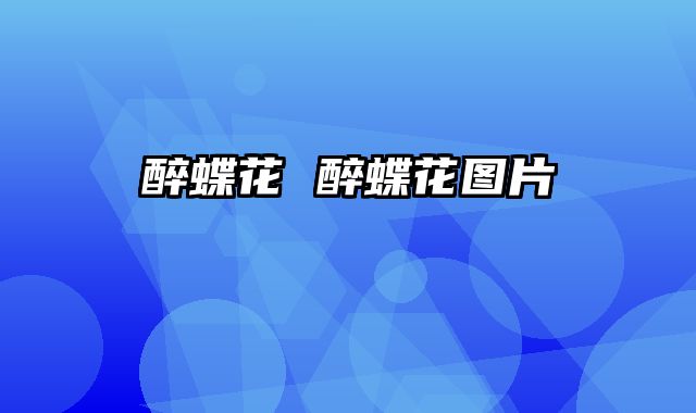 醉蝶花 醉蝶花图片
