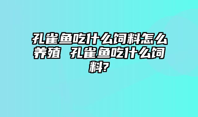 孔雀鱼吃什么饲料怎么养殖 孔雀鱼吃什么饲料?