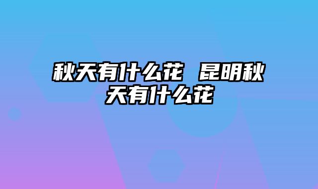 秋天有什么花 昆明秋天有什么花