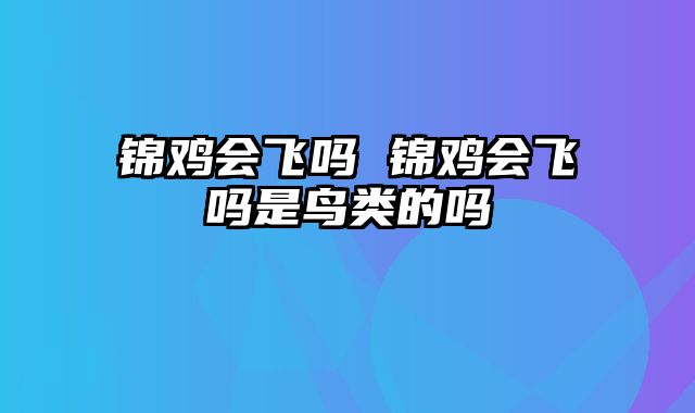 锦鸡会飞吗 锦鸡会飞吗是鸟类的吗