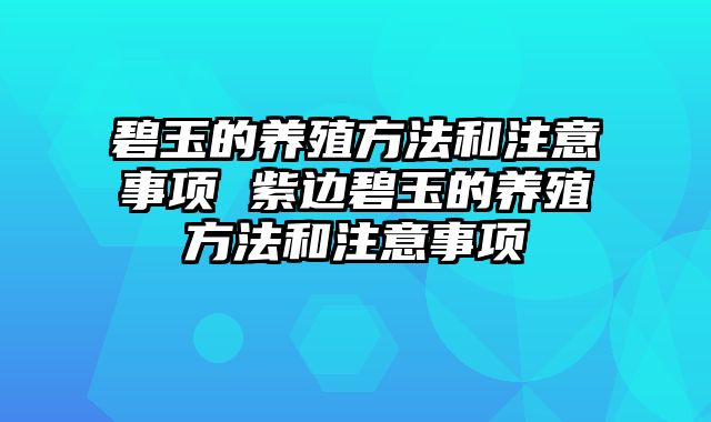 碧玉的养殖方法和注意事项 紫边碧玉的养殖方法和注意事项