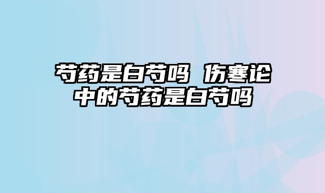 芍药是白芍吗 伤寒论中的芍药是白芍吗