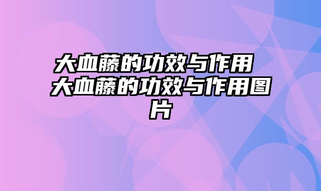 大血藤的功效与作用 大血藤的功效与作用图片