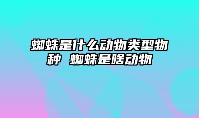 蜘蛛是什么动物类型物种 蜘蛛是啥动物