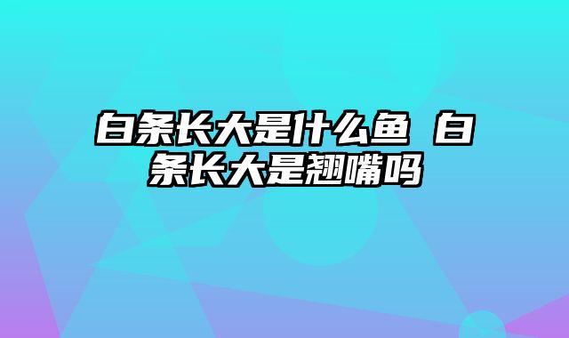 白条长大是什么鱼 白条长大是翘嘴吗