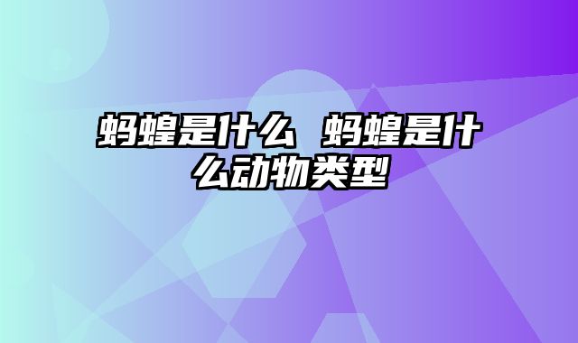 蚂蝗是什么 蚂蝗是什么动物类型