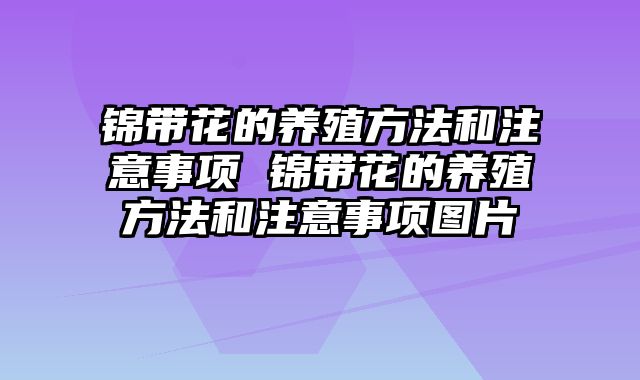 锦带花的养殖方法和注意事项 锦带花的养殖方法和注意事项图片