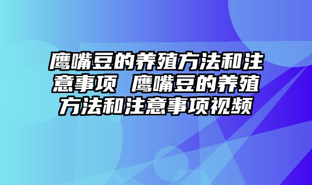 鹰嘴豆的养殖方法和注意事项 鹰嘴豆的养殖方法和注意事项视频