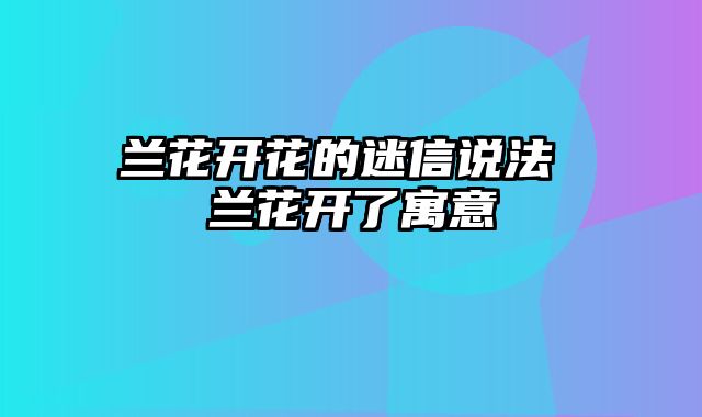 兰花开花的迷信说法 兰花开了寓意