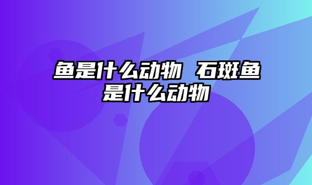 鱼是什么动物 石斑鱼是什么动物