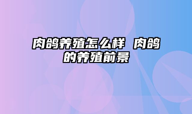 肉鸽养殖怎么样 肉鸽的养殖前景