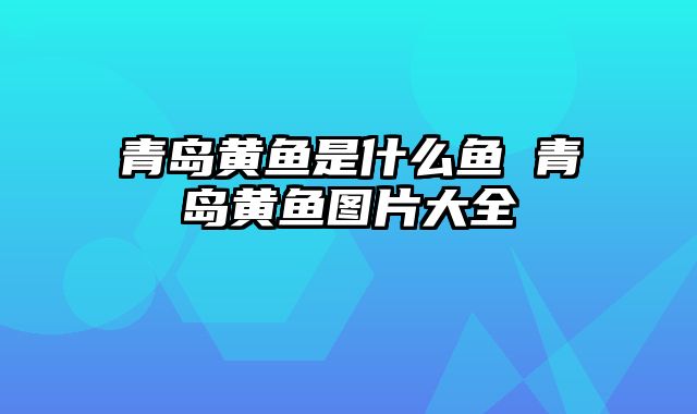 青岛黄鱼是什么鱼 青岛黄鱼图片大全