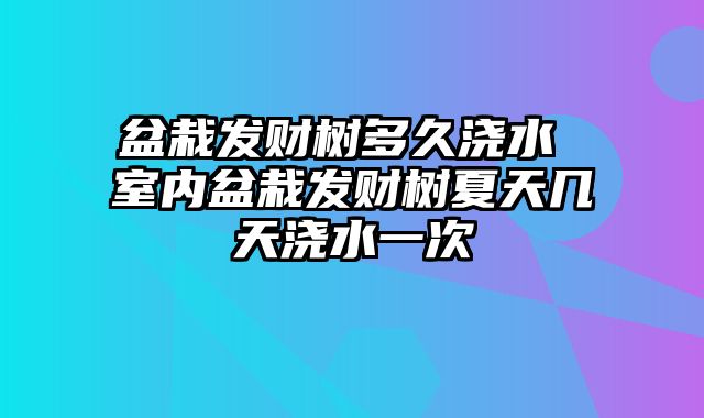 盆栽发财树多久浇水 室内盆栽发财树夏天几天浇水一次